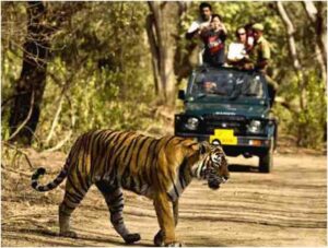 Jim Corbett 